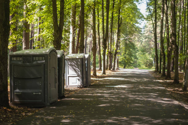 Porta potty rental for festivals in Goodview, MN