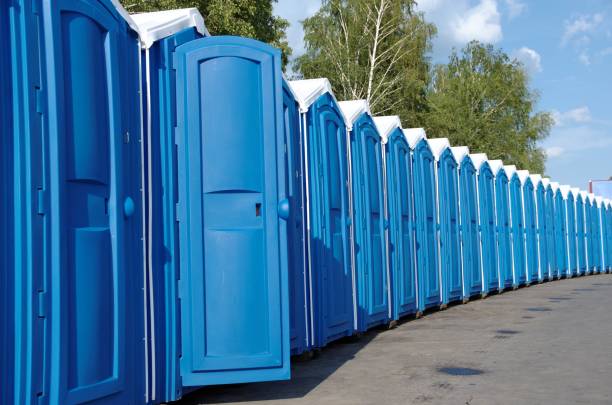 Best Porta potty rental for festivals  in Goodview, MN